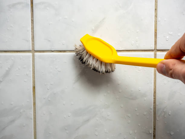 Best Mold Removal Company Near Me  in Quincy, CA