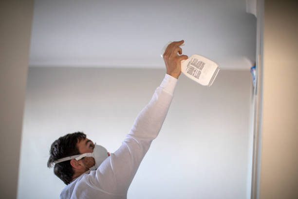 Best Home Mold Removal  in Quincy, CA