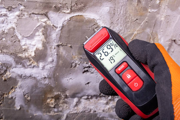 Best Certified Mold Removal  in Quincy, CA