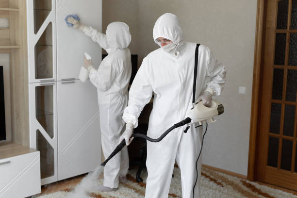 Best Mold Damage Repair  in Quincy, CA