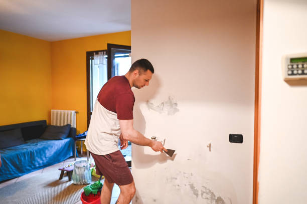 Best Mold Remediation  in Quincy, CA